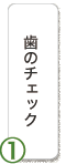 沖縄 歯医者 歯科検診 歯のチェック